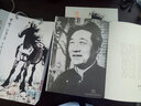 悲鴻遺韻續編 徐悲鴻南洋遺作畫(huà)集 曬單實(shí)拍圖