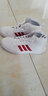 阿迪達斯 （adidas）波士頓12跑鞋男鞋 25夏季新款BOSTON 12馬拉松專(zhuān)業(yè)透氣緩震運動(dòng)鞋 黑色/白色/綠色 39 /內長(cháng)240mm 曬單實(shí)拍圖
