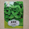 綠林花語香薄荷種子食用泡茶多年生四季驅(qū)蚊蟲陽臺盆栽庭院留蘭香薄荷種籽 曬單實(shí)拍圖