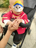 葉余周歲禮服男寶寶男寶抓周晏禮服春秋寶寶唐裝兒童中國風(fēng)男童漢服女 萌虎長袖+長褲 80 曬單實(shí)拍圖