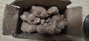 農(nóng)大姐妹 大姜 特級(jí)老姜 月子姜新鮮蔬菜調(diào)味料 煮姜湯 2斤 曬單實(shí)拍圖