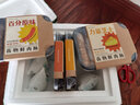 齒物鮮肉腸禮盒裝[只用鮮豬后腿]爆汁火山石烤腸早餐 香腸燒烤送禮 原味x2盒  芝士x2盒 曬單實(shí)拍圖