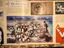 神秘日志之達爾文環(huán)球旅行記 全彩精裝 繼《海底100天》《汽車(chē)時(shí)代》又一新作品小獵犬號科學(xué)大探險 曬單實(shí)拍圖