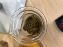 塔馳密司（TOUCH MISS）茶水分離杯木把三件式泡茶杯辦公玻璃杯錘紋加厚綠茶杯家用杯子 木把禪意三件杯 曬單實(shí)拍圖