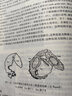 【官方包郵】復(fù)旦大學(xué) 植物生物學(xué) 周云龍 劉全儒 第四版 第4版 高等教育出版社 十二五普通高等教育本科規(guī)劃教材 曬單實拍圖
