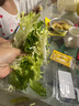 香巴度（XIANGBADU）爆漿雞腿卷 空氣炸鍋食材 脆皮雞腿肉卷黑椒奧爾良夜市小吃半成品 原味1kg 曬單實(shí)拍圖