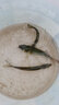 釣哈哈 硬殼魚(yú)竿包防水釣魚(yú)手竿收納包便攜多功能路亞冰釣筏釣包漁具包 銀色65cm 水滴輪款 曬單實(shí)拍圖