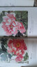 學(xué)畫(huà)中國畫(huà)系列滾筆牡丹畫(huà)技法 英文Rolling Peony Painting Techniques 曬單實(shí)拍圖