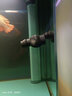 森森（SUNSUN）魚(yú)缸底吹魚(yú)糞便器沖浪魚(yú)缸水族箱造浪泵雙頭打浪泵造流泵JVP-201 JVP-402四頭 48W1.5米以上使用 曬單實(shí)拍圖