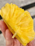 京配嘉果海南金鉆鳳梨新鮮熱帶水果香水菠蘿當季脆甜鳳梨孕婦水果禮盒整箱 1顆精選裝 曬單實(shí)拍圖