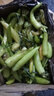 味小仙 新鮮小米椒 現摘青紅小米辣椒朝天椒蔬菜生鮮 1斤白米椒 曬單實(shí)拍圖
