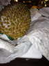 馬來(lái)西亞貓山王榴蓮6斤新鮮D197液氮冷凍榴蓮 貓山王榴蓮4.0-4.5斤 曬單實(shí)拍圖
