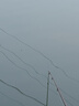 RIKIMARU 力丸 沉水包芯大力馬魚(yú)線(xiàn) 筏釣海釣路亞主線(xiàn)PE線(xiàn)防咬子線(xiàn) 12股熒光綠150m 2.0號 曬單實(shí)拍圖