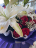 薔薇戀鮮花速遞同城配送百合玫瑰康乃馨混搭花束送媽媽探望長(cháng)輩生日禮物 19朵紅玫瑰6朵百合A 今日達-可預約送花時(shí)間 曬單實(shí)拍圖
