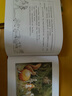凱迪克大獎大師繪本集10冊 百年經(jīng)典美繪本小說閱讀書目兒童小學(xué)生禮物男女孩小朋友閱讀經(jīng)典兒童文學(xué)故事書3-6歲兒童繪本推薦幼兒園小學(xué)生課外書籍閱讀元旦新年禮物 小精靈大森林系列：太陽蛋 曬單實拍圖