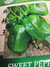 鳳鳴雅世甜椒種籽七彩五彩椒蔬菜種孑四季播種農(nóng)家蔬菜春播菜種子春季菜籽  麻辣王種子 10克 曬單實(shí)拍圖