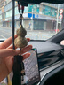 卡麗蒂（KALIDI）銅葫蘆汽車掛件男士2025車載掛飾高檔平安符吊墜后視鏡裝飾用品 龍紋銅葫蘆-玉髓平安扣 曬單實(shí)拍圖