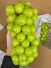 哆莫香陽(yáng)光玫瑰晴王葡萄 無(wú)籽香印晴王引進(jìn)日本品種整箱年貨水果禮盒 精品特級果 2斤 【生鮮無(wú)禮盒】 曬單實(shí)拍圖