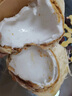 沐小七果蔬泰國(guó)椰青進(jìn)口椰子新鮮當(dāng)季熱帶水果孕婦香水椰子去皮整箱 【單果重900g+】9個(gè)裝 曬單實(shí)拍圖