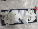 東道汝窯 河南非遺吉祥蓋碗茶組2008年老東道功夫茶具整套茶具家用 禮盒裝（粉青色） 1個(gè) 曬單實(shí)拍圖