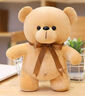 蝸牛卷泰迪熊公仔抱抱熊毛絨玩具禮品玩偶抱枕陪睡娃娃送女朋友生日禮物 淺棕色小熊 23厘米 曬單實(shí)拍圖
