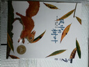 風(fēng)中的樹(shù)葉 0-3-4-5-6-8歲兒童繪本 老師推薦幼兒園小學(xué)生課外書(shū)籍閱讀 父母與孩子的睡前親子閱讀 曬單實(shí)拍圖