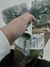 upin圓形三角形塵埃掃天花板清潔伸縮桿掃灰掃蜘蛛網(wǎng)除塵掃 曬單實(shí)拍圖