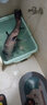 冠標(biāo)競(jìng)技狼牙子線雙鉤黑坑防纏繞成品魚鉤綁好全套裝釣魚鉤鯽魚鉤正釣 正釣狼牙（鉤9號(hào)，線1.5-2.0#） 曬單實(shí)拍圖