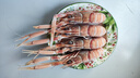 樂(lè)味到（EAT WITH LOVE） 新西蘭進(jìn)口scampi斯干比海鰲蝦 特大蝦海鮮鰲蝦日料小龍蝦 1號(hào)2kg 7-10只/kg 曬單實(shí)拍圖