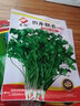 蘇瑞耐寒耐熱香菜種子大葉芫荽陽臺四季香菜種菜種籽種籽農(nóng)家蔬菜種孑 四季香菜【20克】 曬單實拍圖
