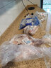 【配燒烤料】斗牧 草原力生羔羊肉筋串20串裝羊肉串燒烤串批發(fā)燒烤食材肉筋燒烤半成品羊蹄筋 曬單實拍圖