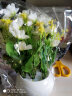 绿秀 仿真花套装假花摆件塑料花含花瓶花束仿真植物盆景餐桌装饰花 圆杯/风信子白色 含塑料盆 实拍图