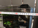 德克（D&A）蘭壽魚(yú)水草缸客廳立式魚(yú)缸一體缸自循環(huán)免換水大型生態(tài)底濾水族箱 爵士黑（標配款） 80x50x135cm 曬單實(shí)拍圖