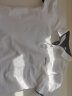 啄木鸟（TUCANO）短袖t恤男纯色polo打底衫商务时尚休闲百搭上衣男装白色2XL 实拍图