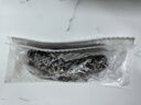 棒棰島大連有機(jī)冷凍海參1000g非即食海鮮水產(chǎn)2斤低播遼刺參孕婦特產(chǎn)禮盒 冷凍海參 1000g 8-12只禮盒裝 禮盒裝 曬單實拍圖