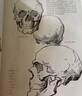 伯里曼人體結構繪畫(huà)教程（典藏版） 曬單實(shí)拍圖