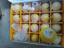 譯優(yōu)農海南黃金百香果 新鮮現摘西番蓮黃皮芭樂(lè )味雞蛋果熱情果 孕婦水果 3斤精選一級大果 曬單實(shí)拍圖