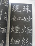 褚遂良楷書(shū)入門(mén)基礎教程:雁塔圣教序 田英章,張勉之 曬單實(shí)拍圖