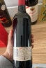 奔富（Penfolds）澳大利亚原瓶进口 bin系列设拉子赤霞珠干红葡萄酒750ml BIN389 双支礼袋装 实拍图