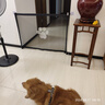 咕咚熊樓梯口護欄門欄兒童安全門欄寵物狗室內圍欄安全門擋加高防貓護網 小號110*78cm【黑色小熊腳印】 曬單實拍圖