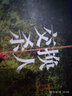懸念推理系列19：交換殺人 曬單實(shí)拍圖
