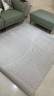 迪梵路（DIFANLU）意式极简地毯素色客厅沙发茶几毯侘寂风现代简约卧室满铺灰色条纹 Pran-21726 1.6*2.3米（适合2-3人沙发） 实拍图