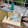 新界污水泵家用工用排污水雨水地下室污水提升泵工業(yè)廢水排污泵潛污泵 WQ12-15-1.5L4(380V) 曬單實(shí)拍圖