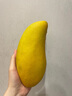 澤鮮達(dá)云南鷹嘴芒芒果新鮮水果禮盒當(dāng)季甜心大黃皮芒整箱特大芒果 5斤 曬單實(shí)拍圖