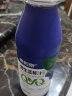 泉阳泉（QUANYANGQUAN）长白山蓝莓汁果汁饮料富含花青素饮品 蓝莓汁420ml*12瓶 实拍图