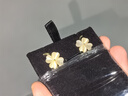 紀詩哲（GIEVSZHE）四葉草耳釘耳夾無耳洞輕奢高級感新款耳飾情人節(jié)送女友生日禮物 四葉草貓眼石耳夾【全國七倉當(dāng)日/次日達】 曬單實拍圖