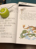 系列自選】正版學庸論語 簡體大字注音版 中文國學經典 含大學中庸論語 兒童書籍中國文化經典導讀 傳統(tǒng)文化小學生論語全文帶拼音 學庸論語 兒童中國文化導讀 曬單實拍圖