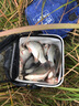 狼王樂(lè)釣魚(yú)竿軟尾靈敏筏竿套裝岸拋小閥桿橋釣半鈦合金單根遠(yuǎn)投筏微鉛筏 0.9-1.2米+左手筏輪+支架+禮品 曬單實(shí)拍圖