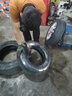 韓泰輪胎Hankook/汽車輪胎 165R14LT C 8P 加厚載重RA08 曬單實(shí)拍圖