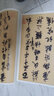 蘇軾赤壁賦/南山法帖 曬單實(shí)拍圖
